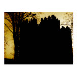Dark Castle Postcard