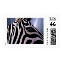 Dark Continent by Gregory Gallo postage by redboy23 Dark Continent by Gregory Gallo postage