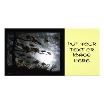 Dark Cranes photo cards by SuanSKatra Dark Cranes photo cards