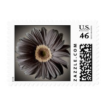 Dark Daisy Postage Stamps by oph3lia Dark Daisy Postage Stamps