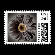 Dark Daisy Postage Stamps stamps