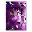 Dark Delphinium cards by MDBerry Dark Delphinium cards