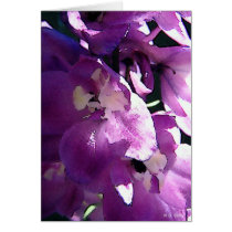 Dark Delphinium cards by MDBerry Dark Delphinium cards
