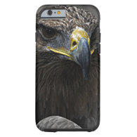 Dark Eagle iPhone 6 Case