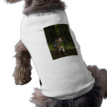 Dark Elf Pet Clothing