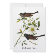 Dark-eyed Junco - John James Audubon Invites