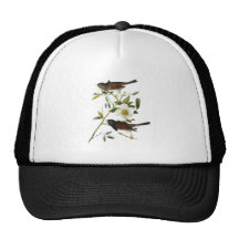 Dark-eyed Junco - John James Audubon Mesh Hats