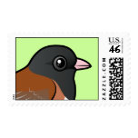Dark-eyed Junco (Oregon) Stamp