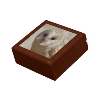 Dark Eyed Owl Textured Painting Gift Boxes