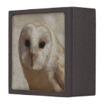 Dark Eyed Owl Textured Painting Premium Jewelry Box