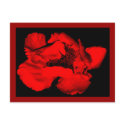 dark flower postcards by RookyStudios dark flower postcards
