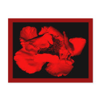 dark flower postcards by RookyStudios dark flower postcards