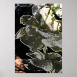 Dark Flowers and Twigs Poster