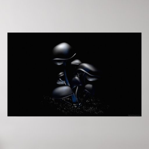 Dark Fluorescence (Stop SOPA/PIPA!) Poster