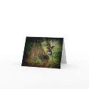 Dark Forest Fey cards by Guiltypleasures Dark Forest Fey cards