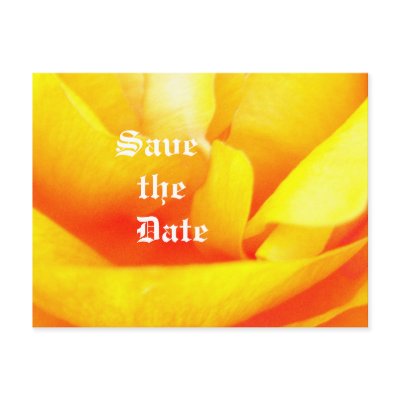 Dark Gold Post Card