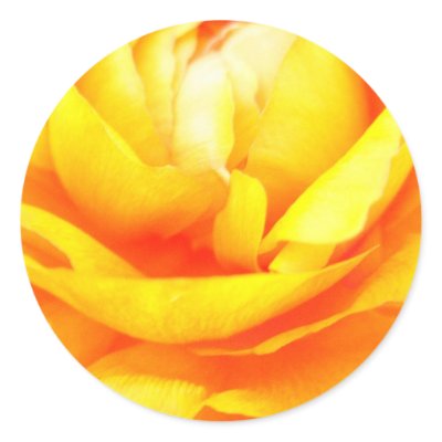 Dark Gold Round Stickers