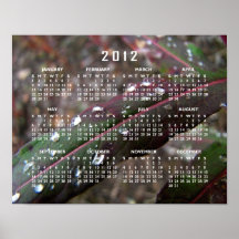 Dark Green Fireweed Leaf with Water Droplets Poster