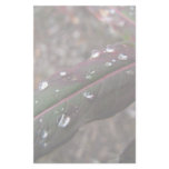Dark Green Fireweed Leaf with Water Droplets stationery
