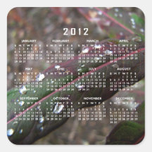 Dark Green Fireweed Leaf with Water Droplets Square Stickers