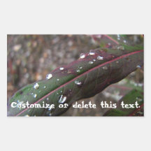 Dark Green Fireweed Leaf with Water Droplets Rectangular Stickers