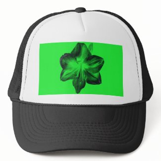 Dark Green on Light Green Amaryllis zazzle_hat