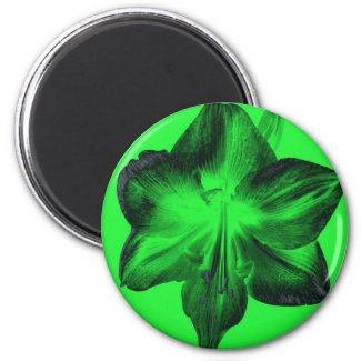 Dark Green on Light Green Amaryllis zazzle_magnet