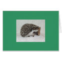 Dark Hedgehog Card by nannyogg Dark Hedgehog Card
