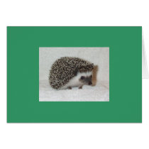 Dark Hedgehog Card by nannyogg Dark Hedgehog Card
