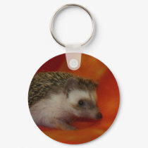 Dark hedgehog keychains
