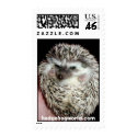 dark hedgehog stamp