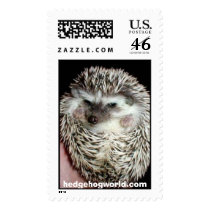 dark hedgehog stamp