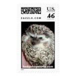dark hedgehog stamp