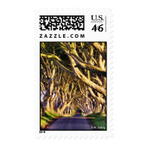 Dark Hedges Postage