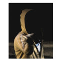 dark hood posters by voudry dark hood posters