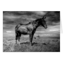 Dark Horse Arising Card by autregusto Dark Horse Arising Card