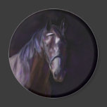 Dark Horse Magnets