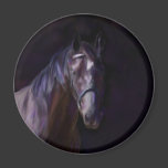 Dark Horse Magnets