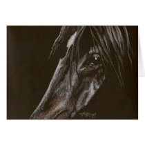 Dark Horse on Black cards by foxbrush Dark Horse on Black cards