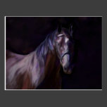 Dark Horse Post Cards