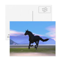Dark Horse postcards by Peerdrops Dark Horse postcards