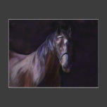 Dark Horse Post Cards