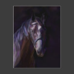 Dark Horse Postcard