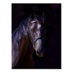 Dark Horse Postcard