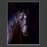 Dark Horse Postcard