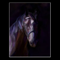 Dark Horse postcards