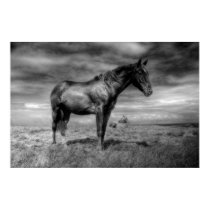 Dark Horse Poster posters by autregusto Dark Horse Poster posters