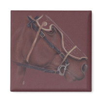 Dark Knight Horse Magnet by fuzzydragons Dark Knight Horse Magnet