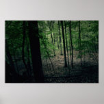 Dark Michigan Forest Poster
