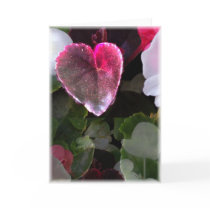 Dark Mirror cards by mmargot Dark Mirror cards